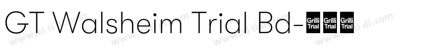 GT Walsheim Trial Bd字体转换